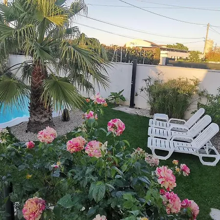 Superbe Confort Avec Piscine Beaucaire (Gard)